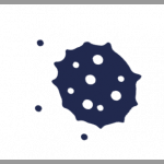 2 types: yeasts and moulds.