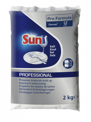 100848994 Sun professionnel sel regenerant