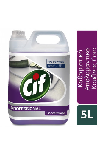 100862179 Cif PF.2in1 Cl.Disinf.conc 2x5L Hero+ gr GR