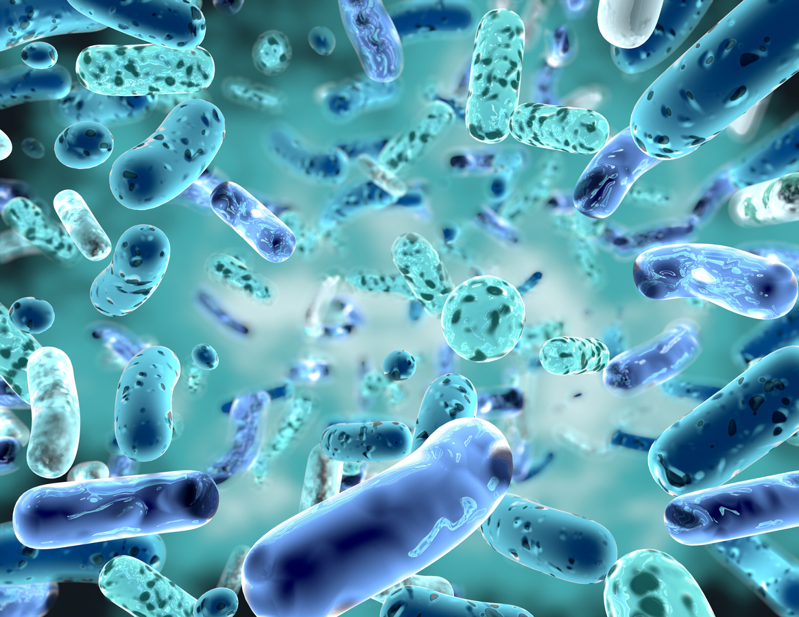 Bacterias, hongos y virus